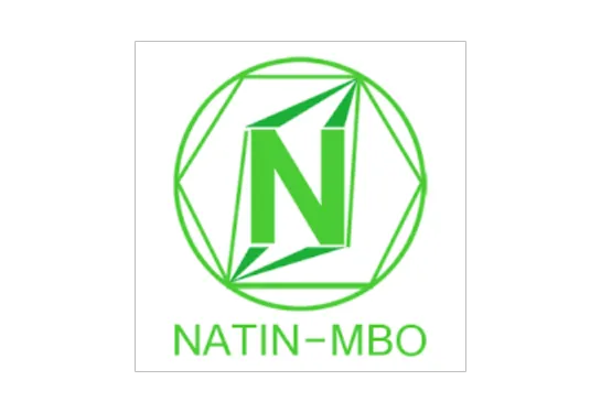 Daniel Garnauth at NATIN MBO